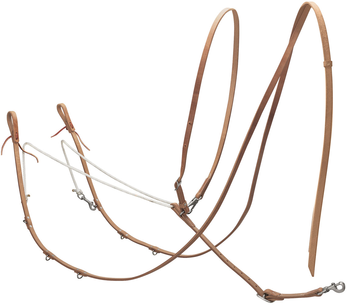 training equipment martingales